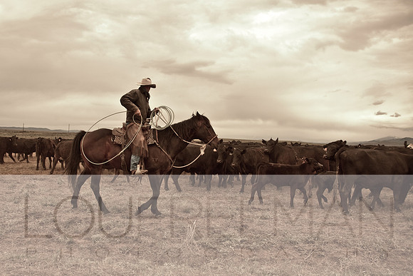 Stoecklein Ranch_Lou Freeman copyright 1020-3-2