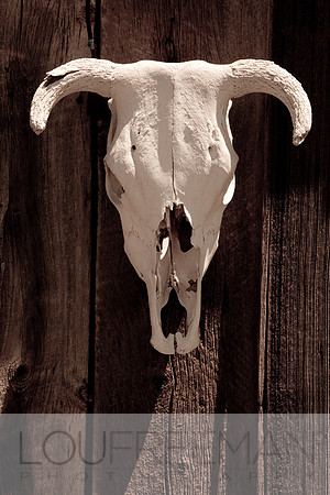 ©Lou Freeman,