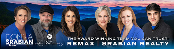 Lou Freeman - Banners - Srabian Realty - Concept 2 - Bulletin