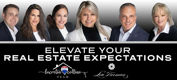 Lou Freeman - Banners - Collins Team - Concept 2 - Poster - With Lous Logo