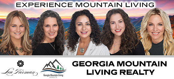 Lou Freeman - Banners - Georgia Mountain Living Realty - Concept 3 - Poster