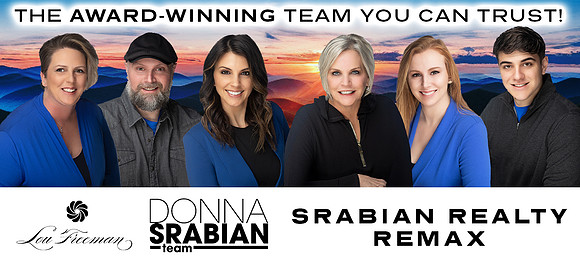 Lou Freeman - Banners - Srabian Realty - Concept 2 - Poster