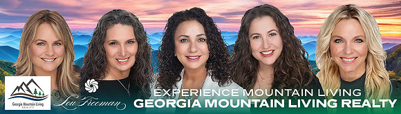 Lou Freeman - Banners - Georgia Mountain Living Realty - Concept 1 - Bulletin