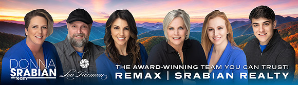 Lou Freeman - Banners - Srabian Realty - Concept 3 - Bulletin