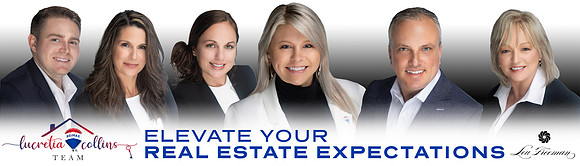 Lou Freeman - Banners - Collins Team - Concept 3 - Bulletin - With Lous Logo