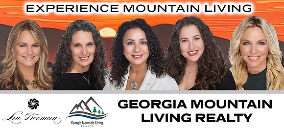 Lou Freeman - Banners - Georgia Mountain Living Realty - Concept 2 - Poster