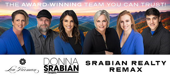 Lou Freeman - Banners - Srabian Realty - Concept 3 - Poster