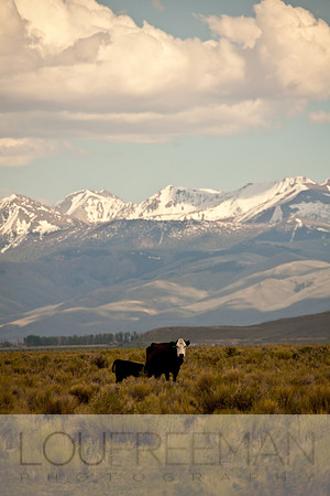 Stoecklein Ranch_Lou Freeman copyright 1020-62