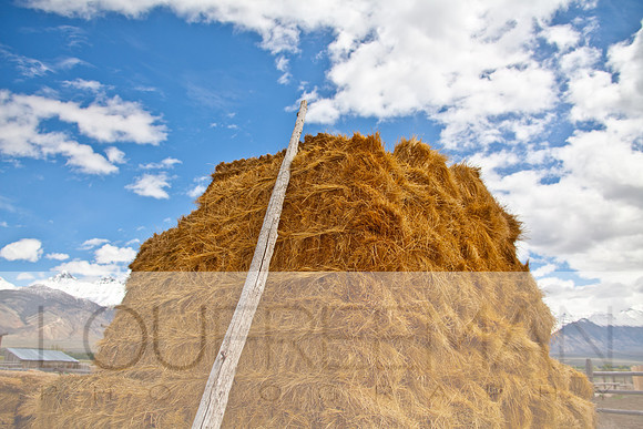 Stoecklein Ranch_Lou Freeman copyright 1020-143