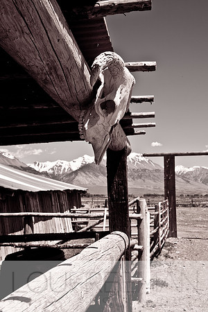 Stoecklein Ranch_Lou Freeman copyright 1020-21
