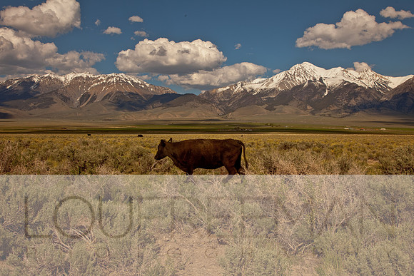 Stoecklein Ranch_Lou Freeman copyright 1020-45