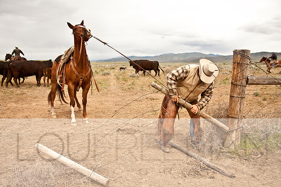 Stoecklein Ranch_Lou Freeman copyright 1020-7