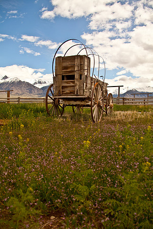 Stoecklein Ranch_Lou Freeman copyright 1020-144