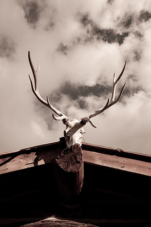 Stoecklein Ranch_Lou Freeman copyright 1020-172