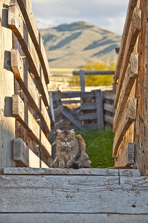 Stoecklein Ranch_Lou Freeman copyright 1020-182