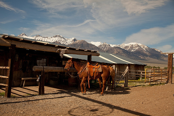 Stoecklein Ranch_Lou Freeman copyright 1020-241
