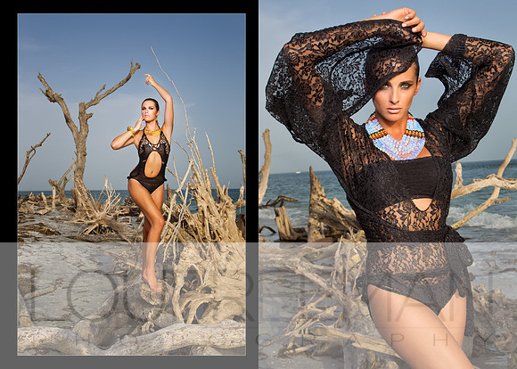 Lou Freeman Photography© All rights reserved