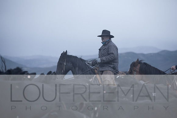 Stoecklein Ranch_Lou Freeman copyright 1020-17